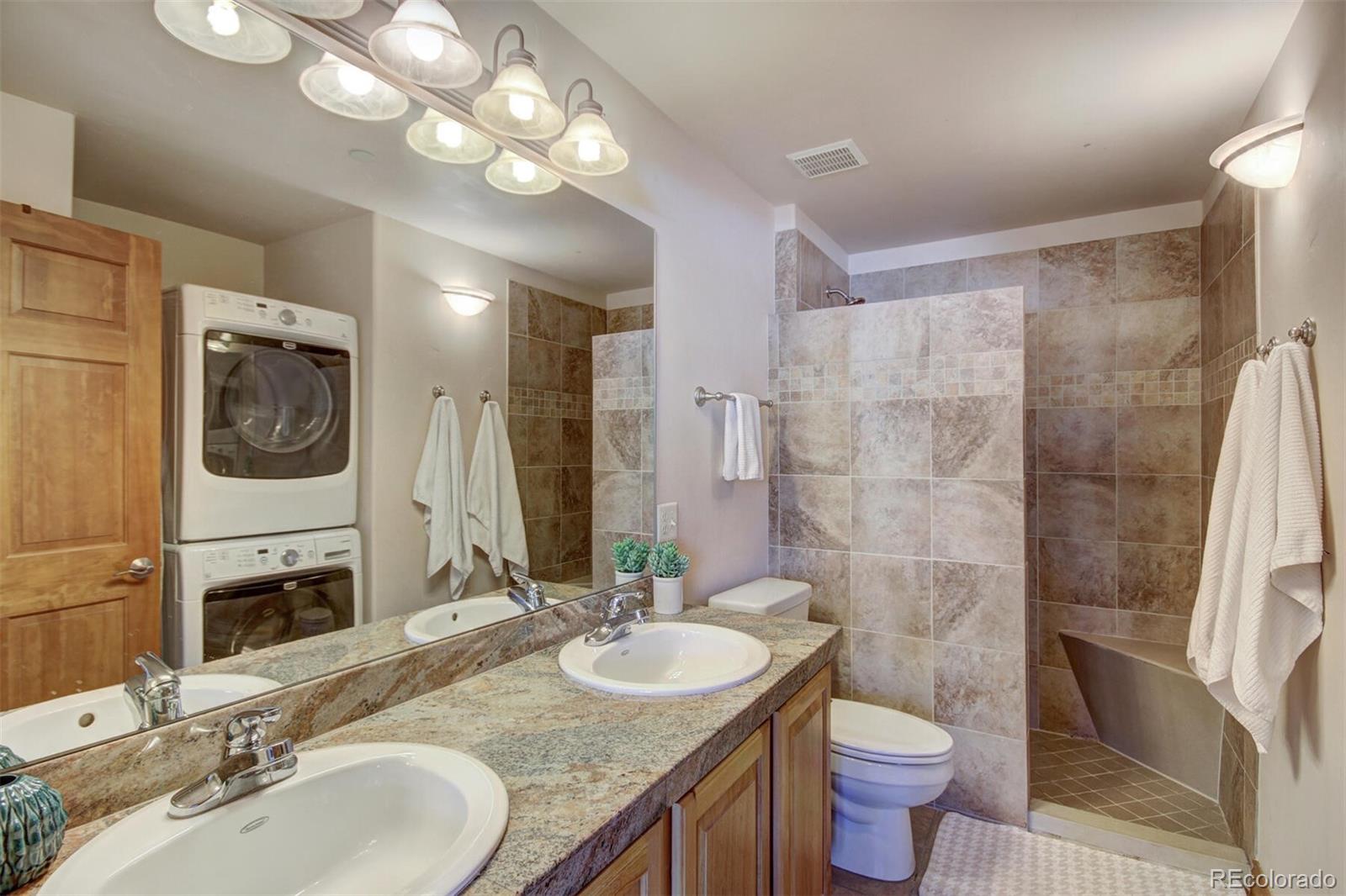 MLS Image #10 for 801  lakepoint drive,frisco, Colorado