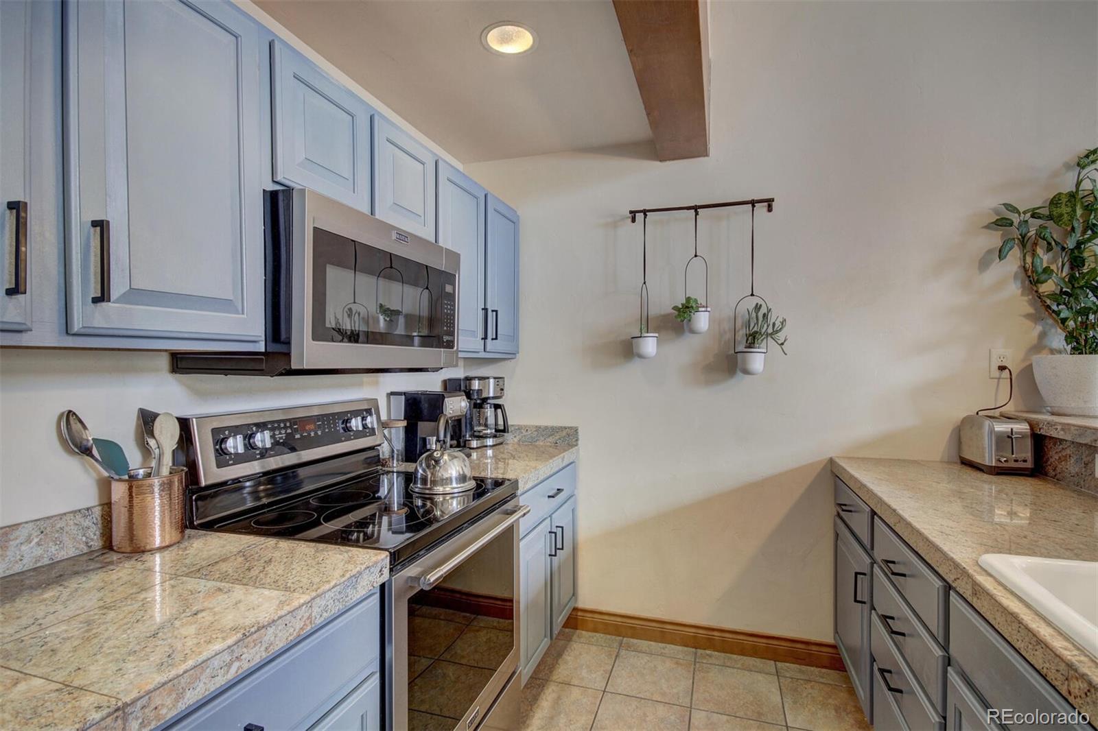 MLS Image #2 for 801  lakepoint drive,frisco, Colorado