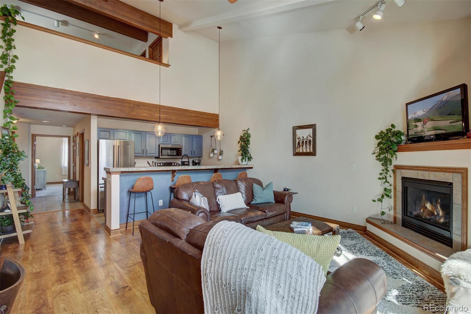 MLS Image #6 for 801  lakepoint drive,frisco, Colorado