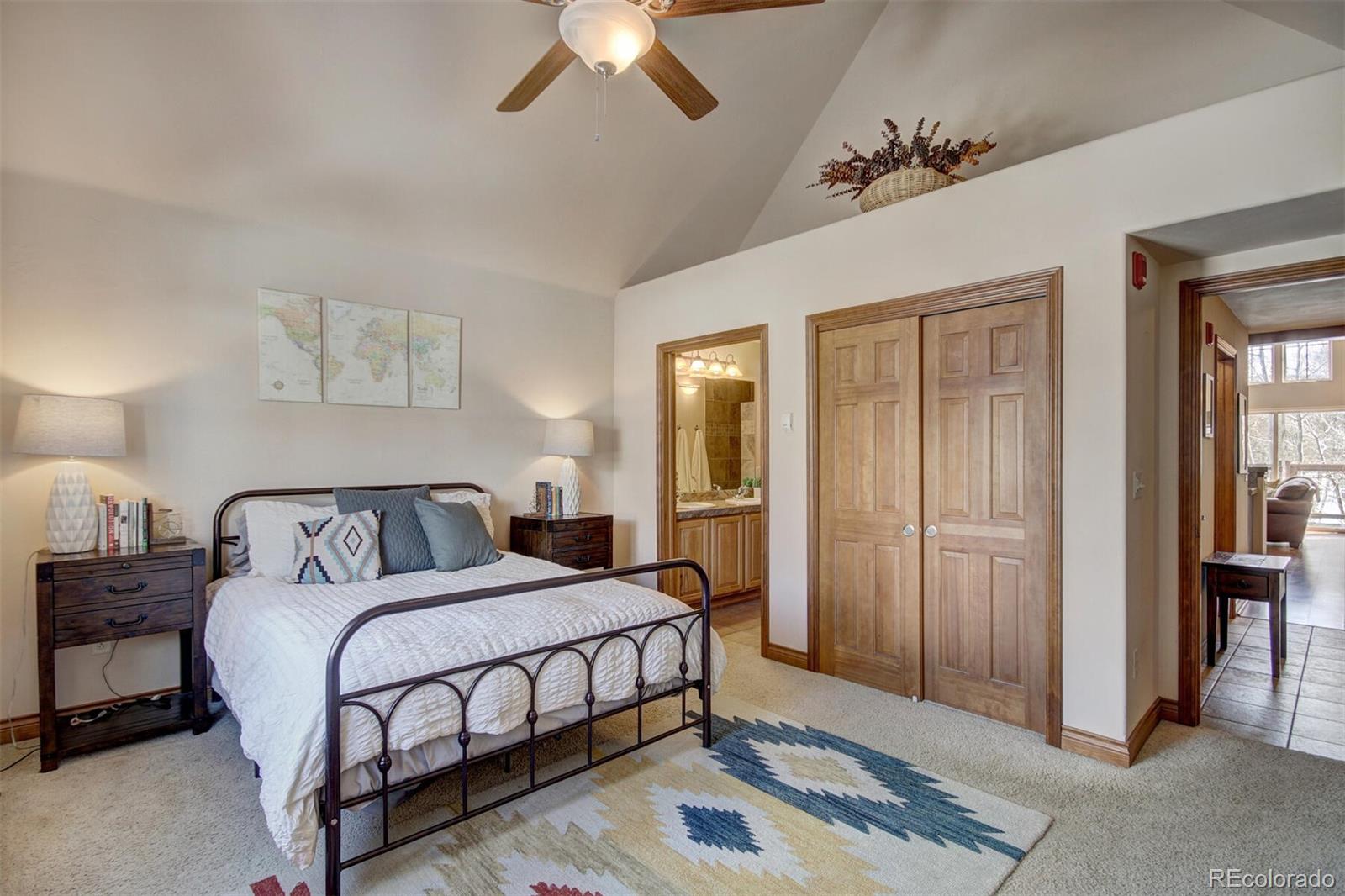MLS Image #7 for 801  lakepoint drive,frisco, Colorado