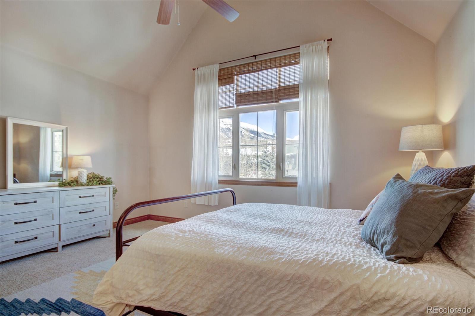 MLS Image #8 for 801  lakepoint drive,frisco, Colorado