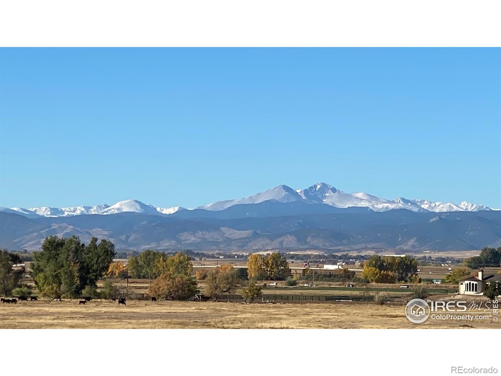 CMA Image for 5773  Riverbluff Drive,Timnath, Colorado