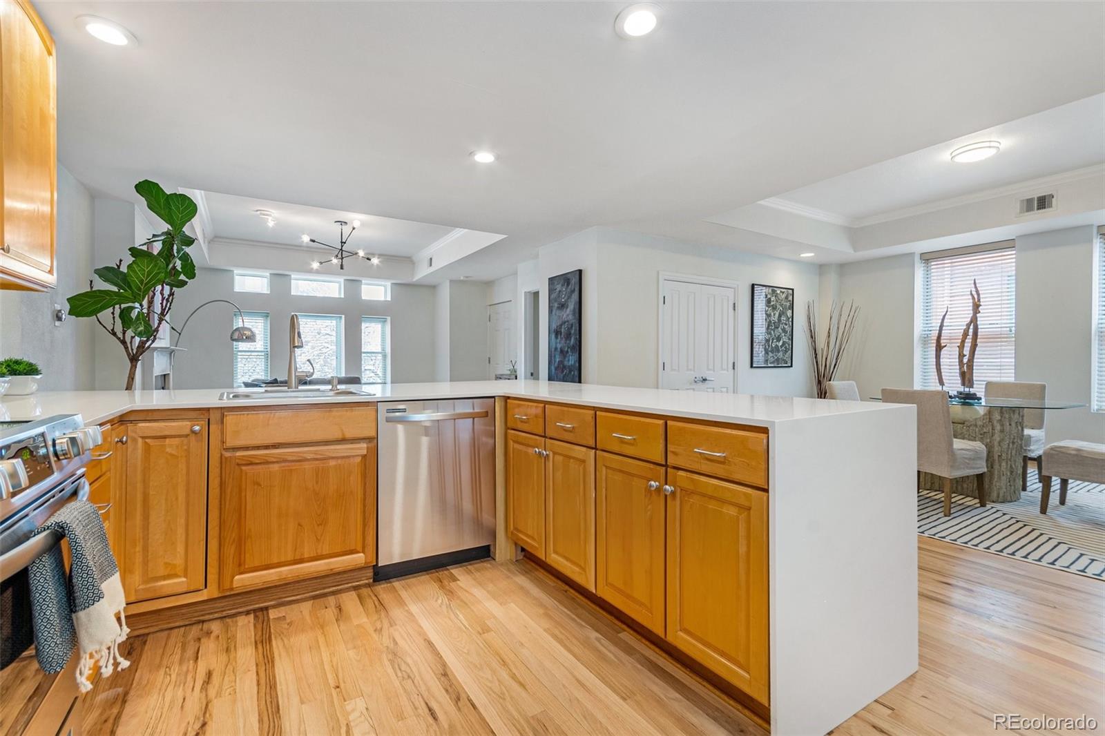 MLS Image #12 for 1025 e 17th avenue,denver, Colorado