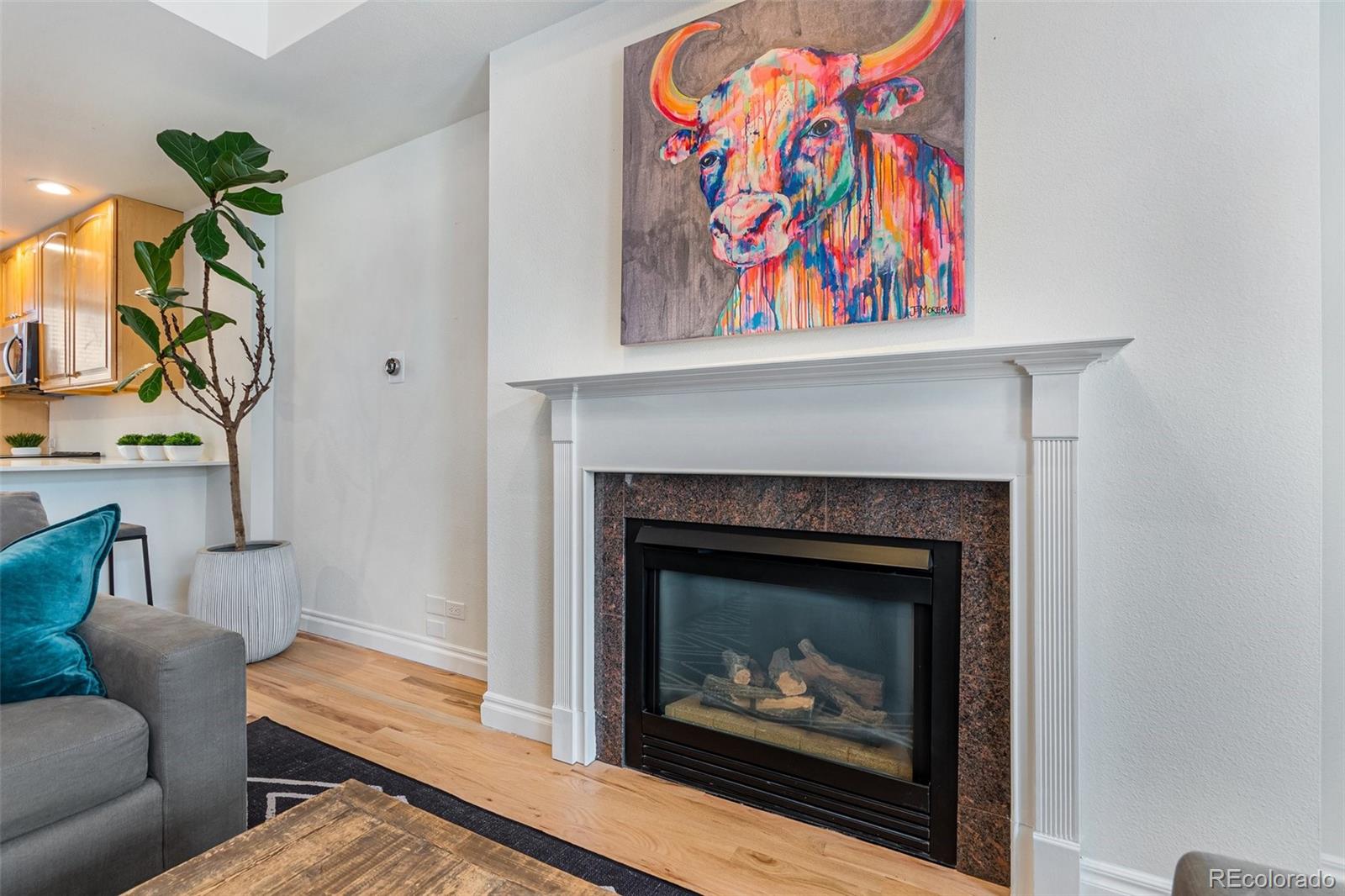 MLS Image #6 for 1025 e 17th avenue,denver, Colorado