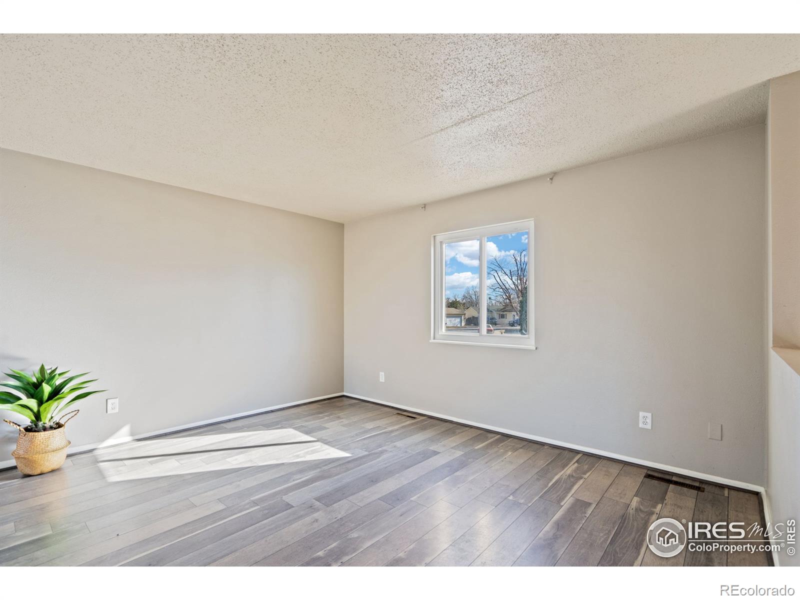 MLS Image #4 for 2036  wedgewood court,greeley, Colorado