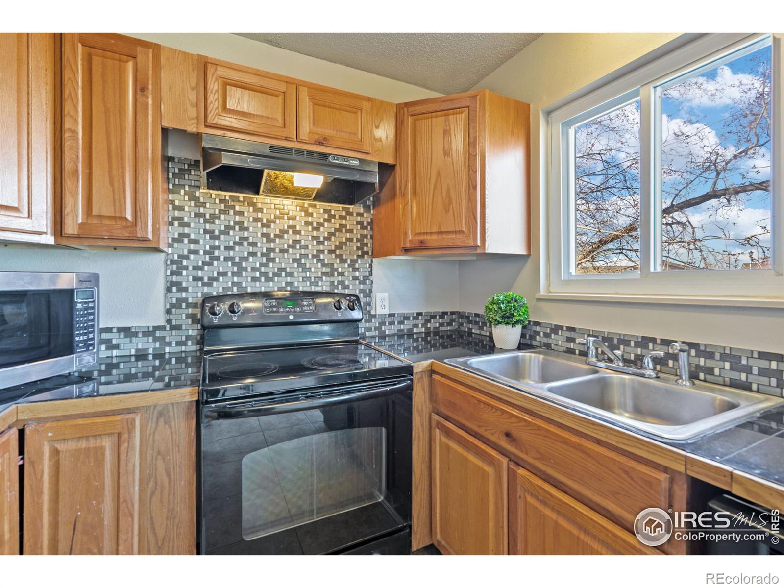 MLS Image #6 for 2036  wedgewood court,greeley, Colorado