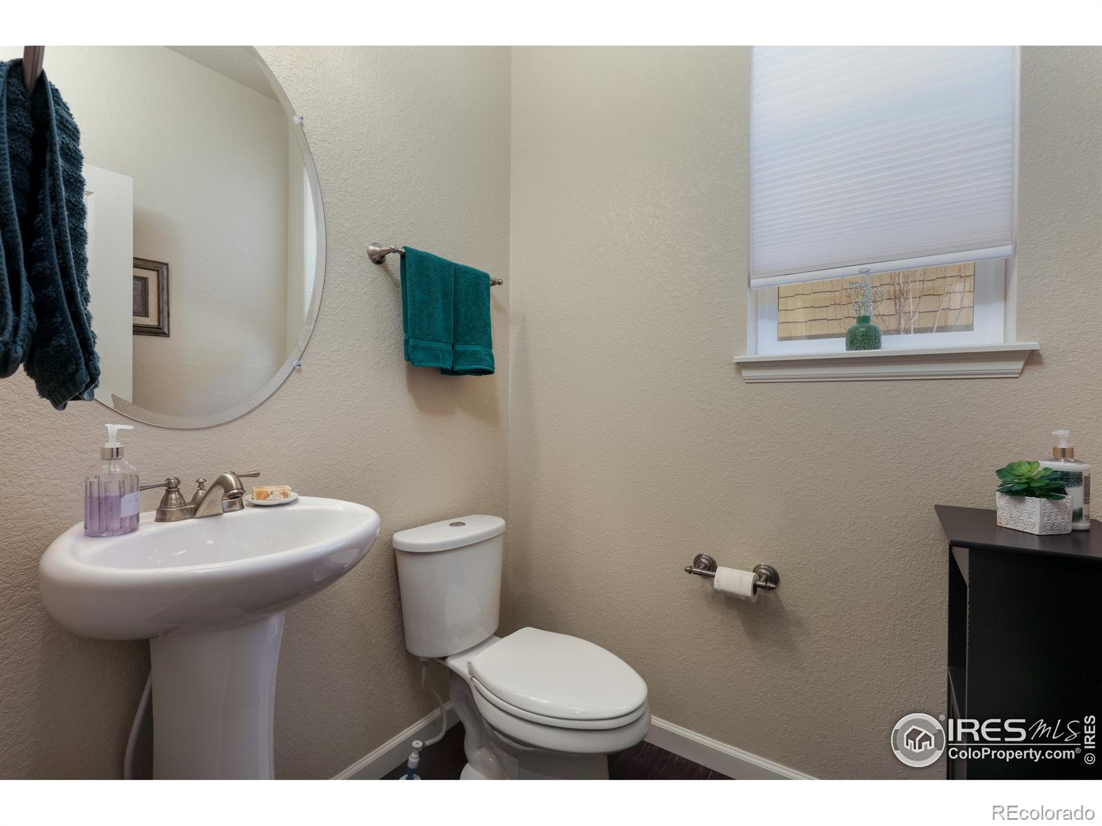 MLS Image #15 for 900  homestead court,erie, Colorado