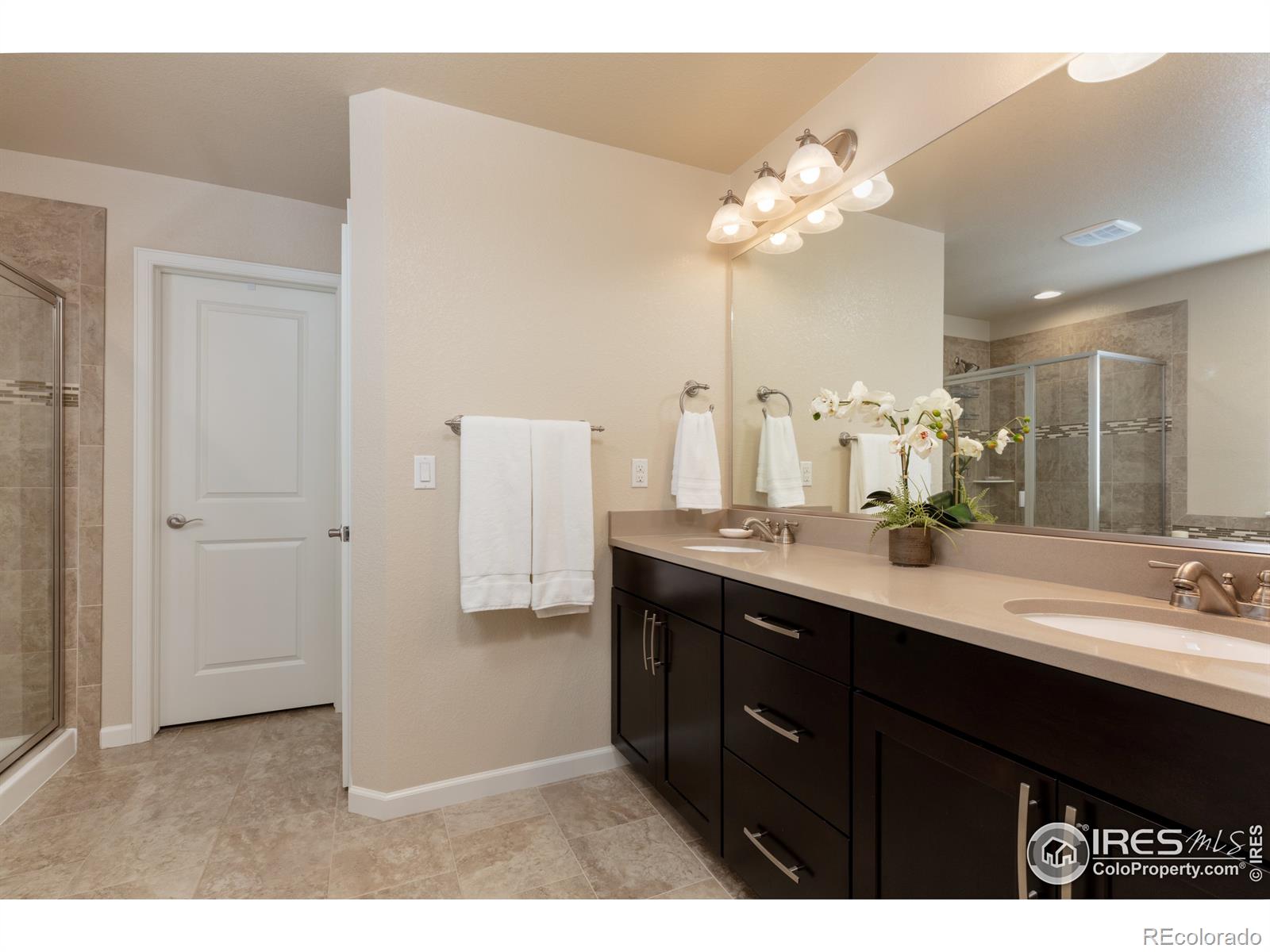 MLS Image #19 for 900  homestead court,erie, Colorado