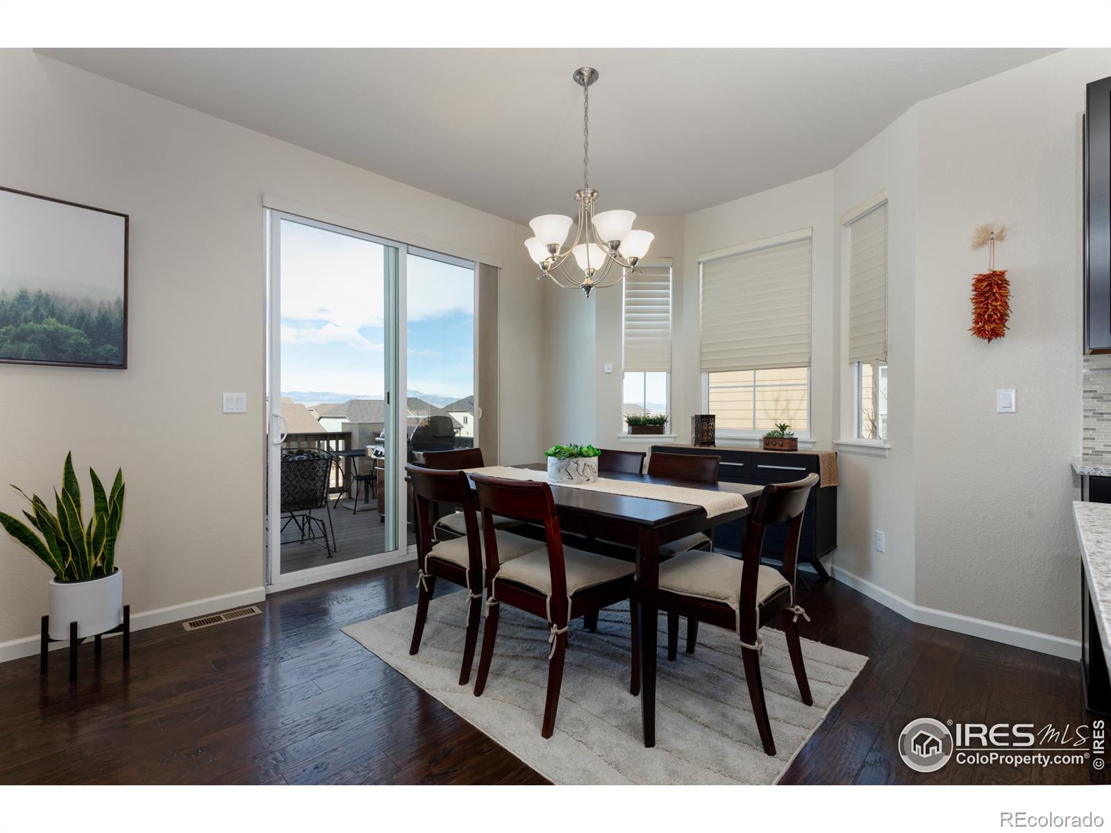 MLS Image #6 for 900  homestead court,erie, Colorado