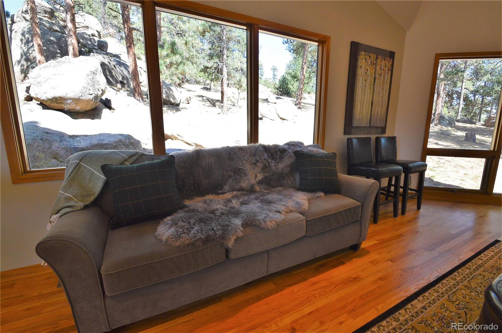 MLS Image #10 for 24754  chris drive,evergreen, Colorado