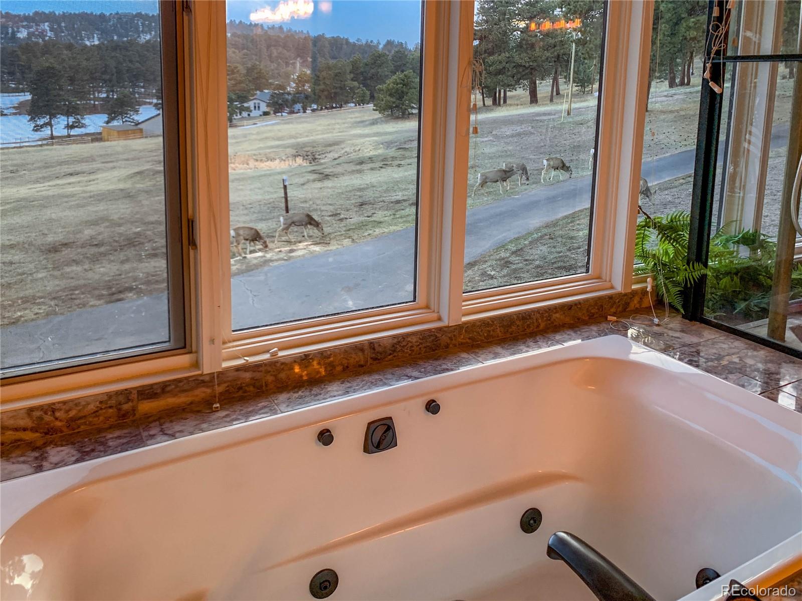 MLS Image #19 for 24754  chris drive,evergreen, Colorado