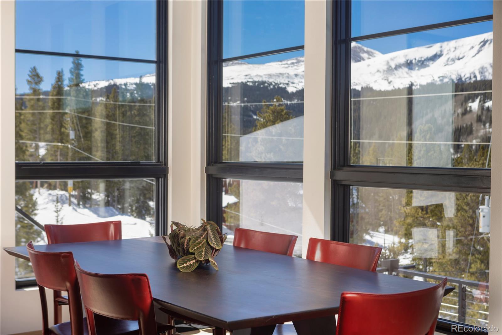 MLS Image #11 for 178  rocky mountain way,breckenridge, Colorado
