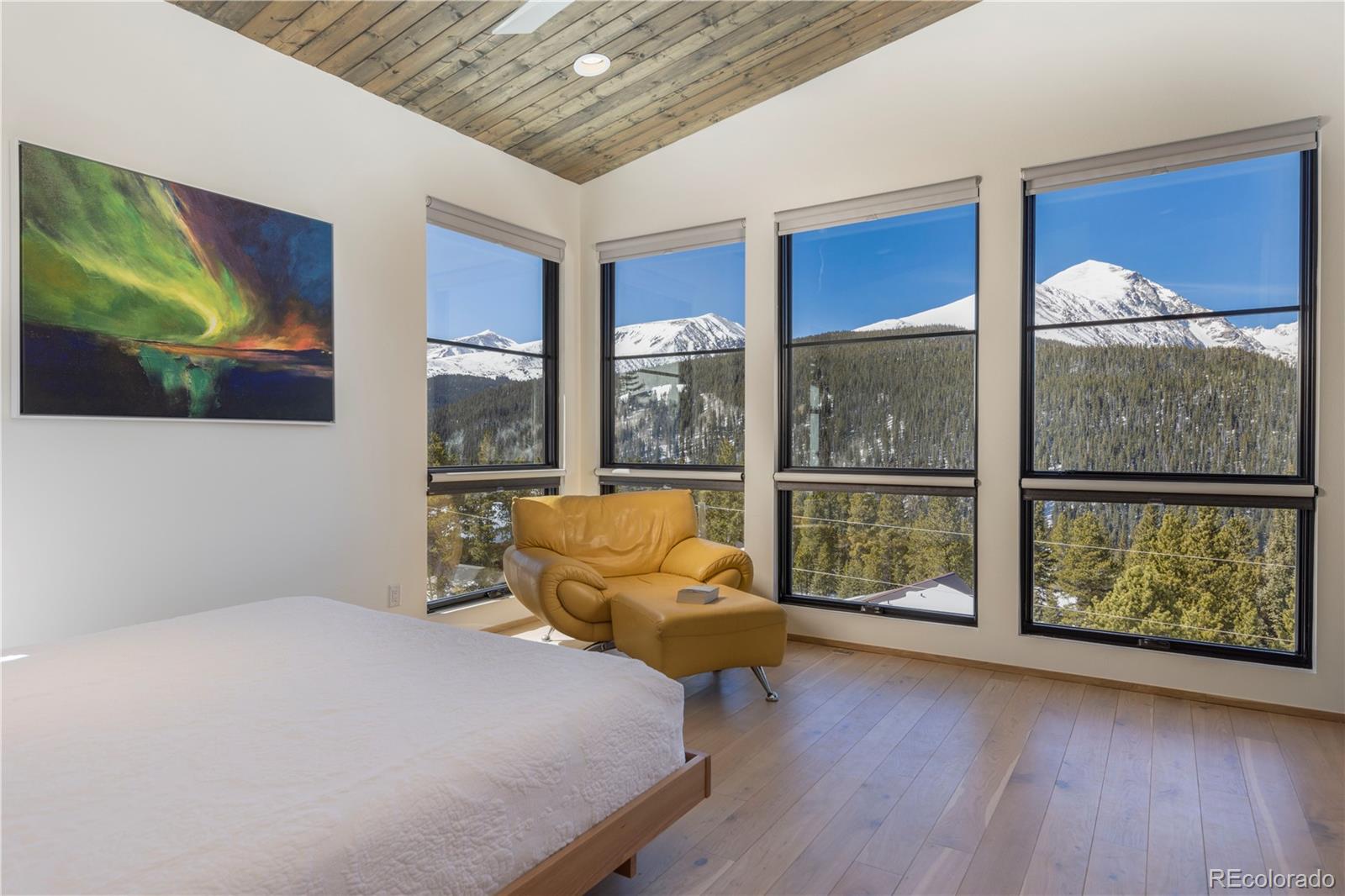 MLS Image #18 for 178  rocky mountain way,breckenridge, Colorado