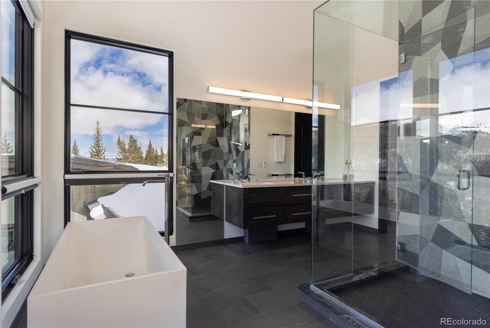 MLS Image #22 for 178  rocky mountain way,breckenridge, Colorado
