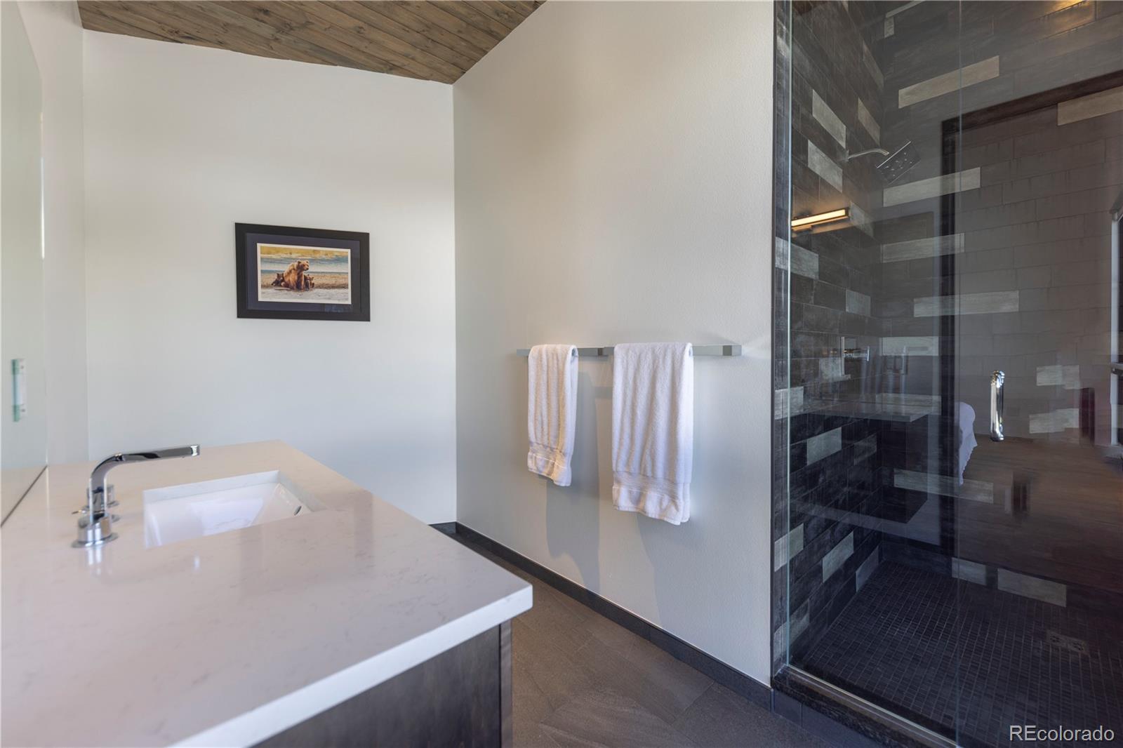 MLS Image #27 for 178  rocky mountain way,breckenridge, Colorado