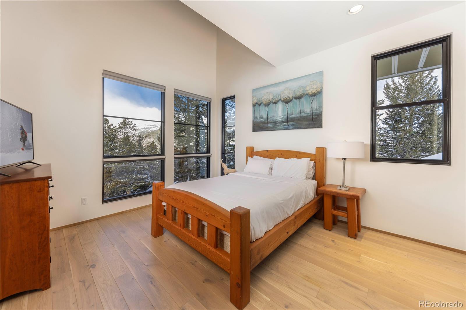 MLS Image #28 for 178  rocky mountain way,breckenridge, Colorado