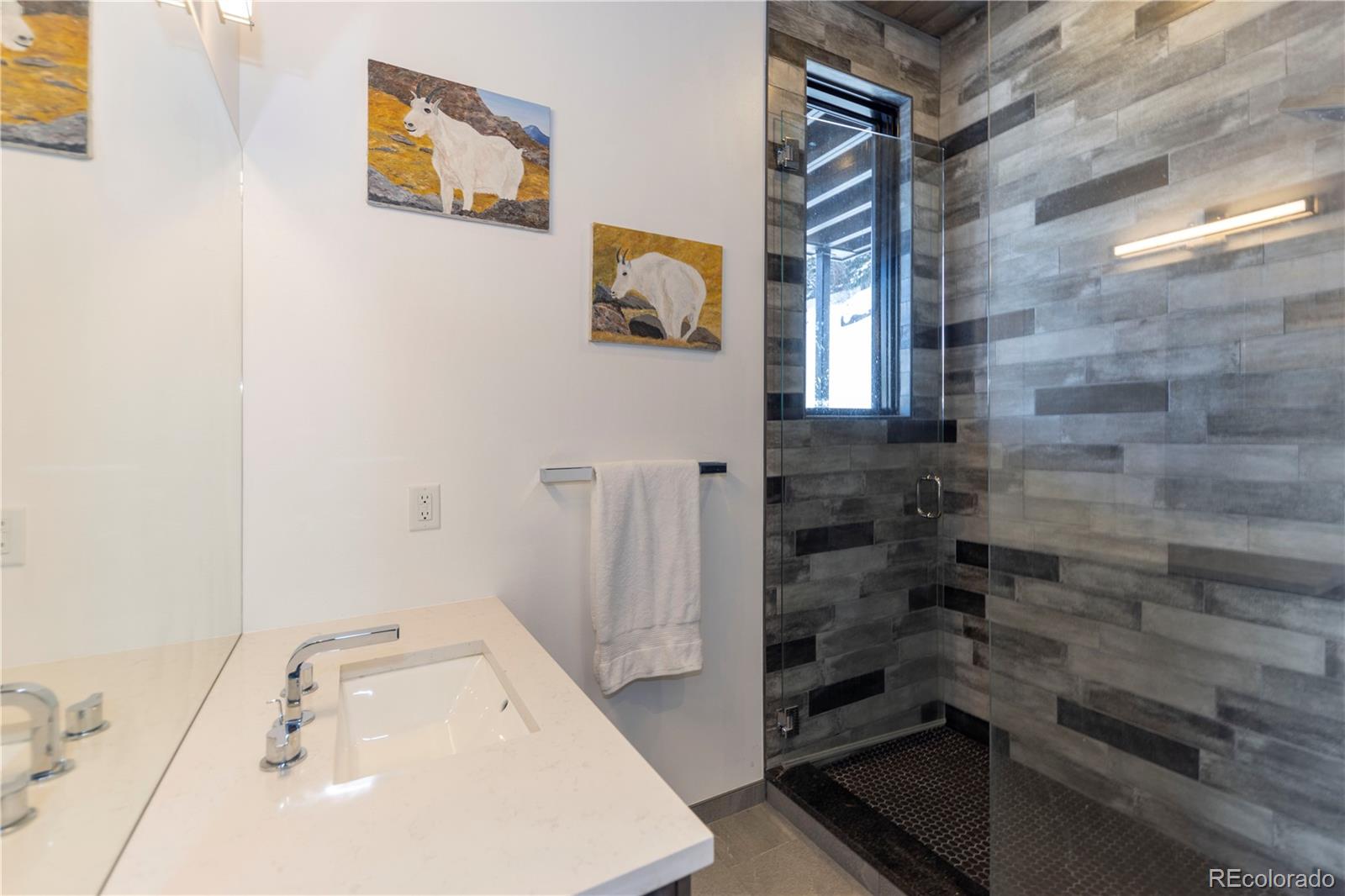 MLS Image #29 for 178  rocky mountain way,breckenridge, Colorado