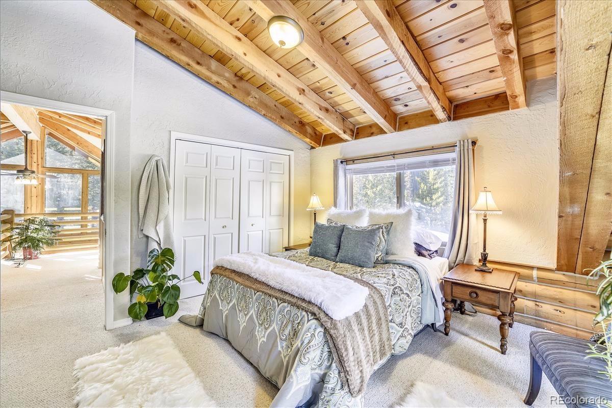 MLS Image #16 for 394  rena road,breckenridge, Colorado