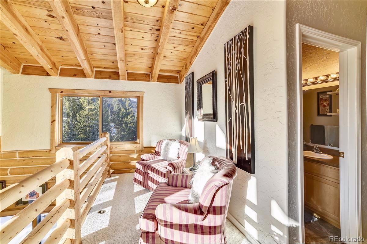 MLS Image #20 for 394  rena road,breckenridge, Colorado