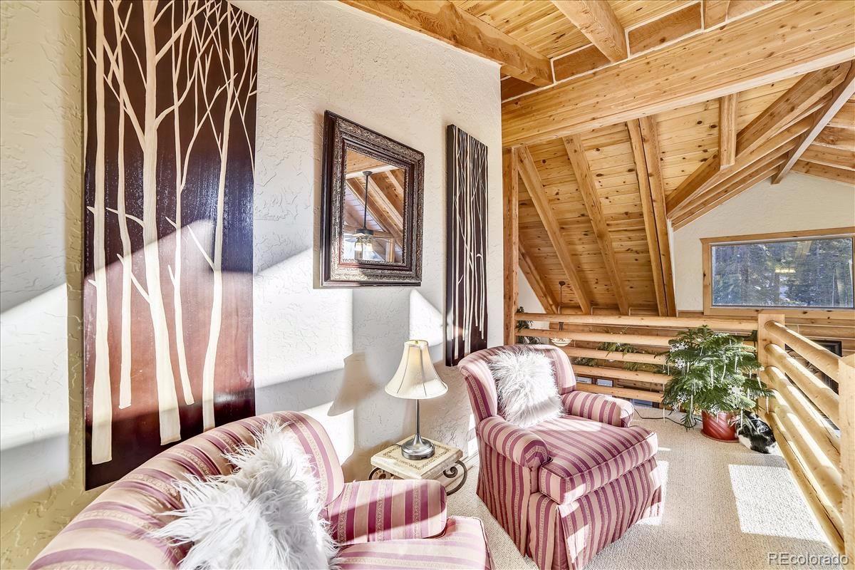 MLS Image #21 for 394  rena road,breckenridge, Colorado