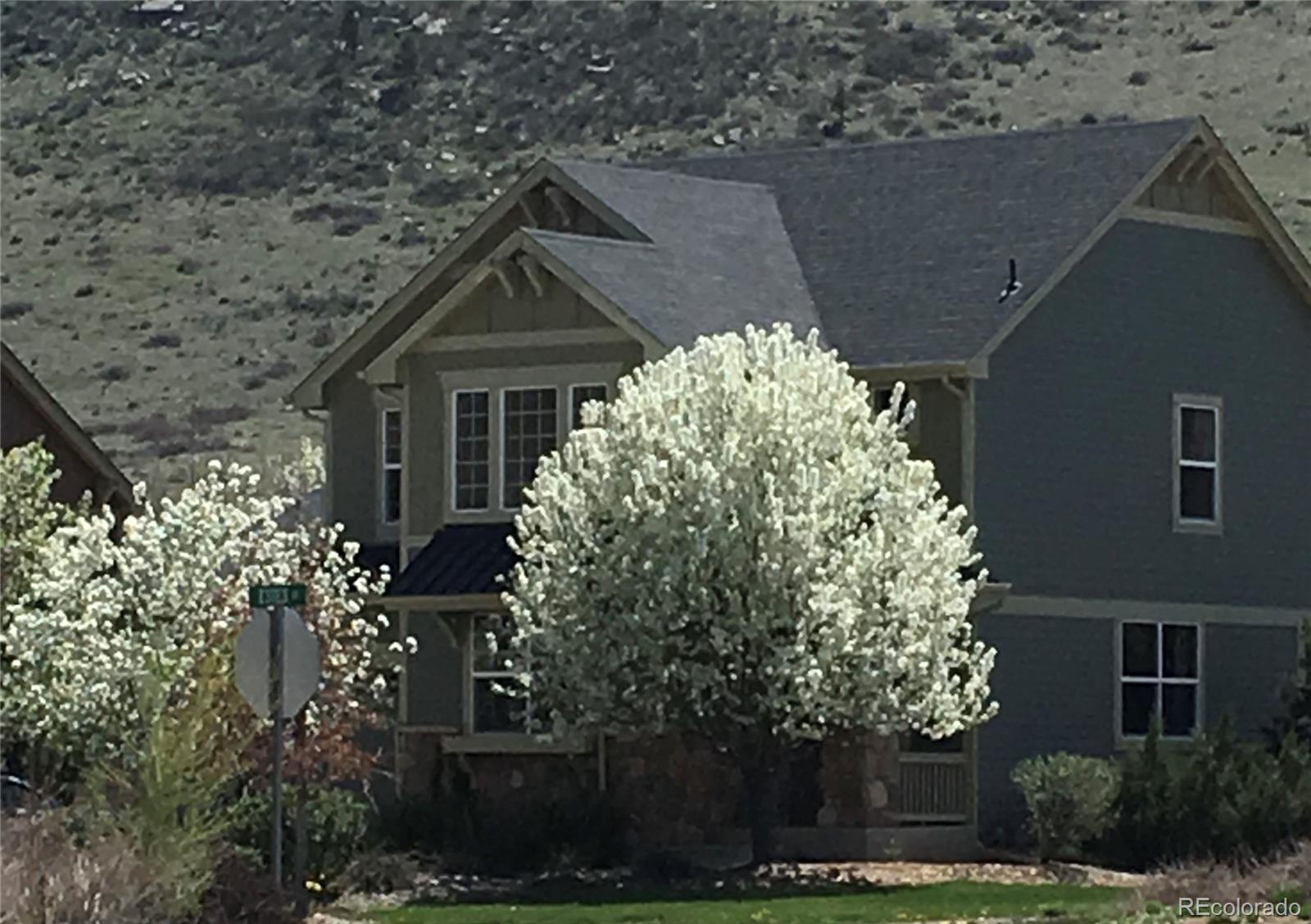 MLS Image #2 for 101  estes court,lyons, Colorado