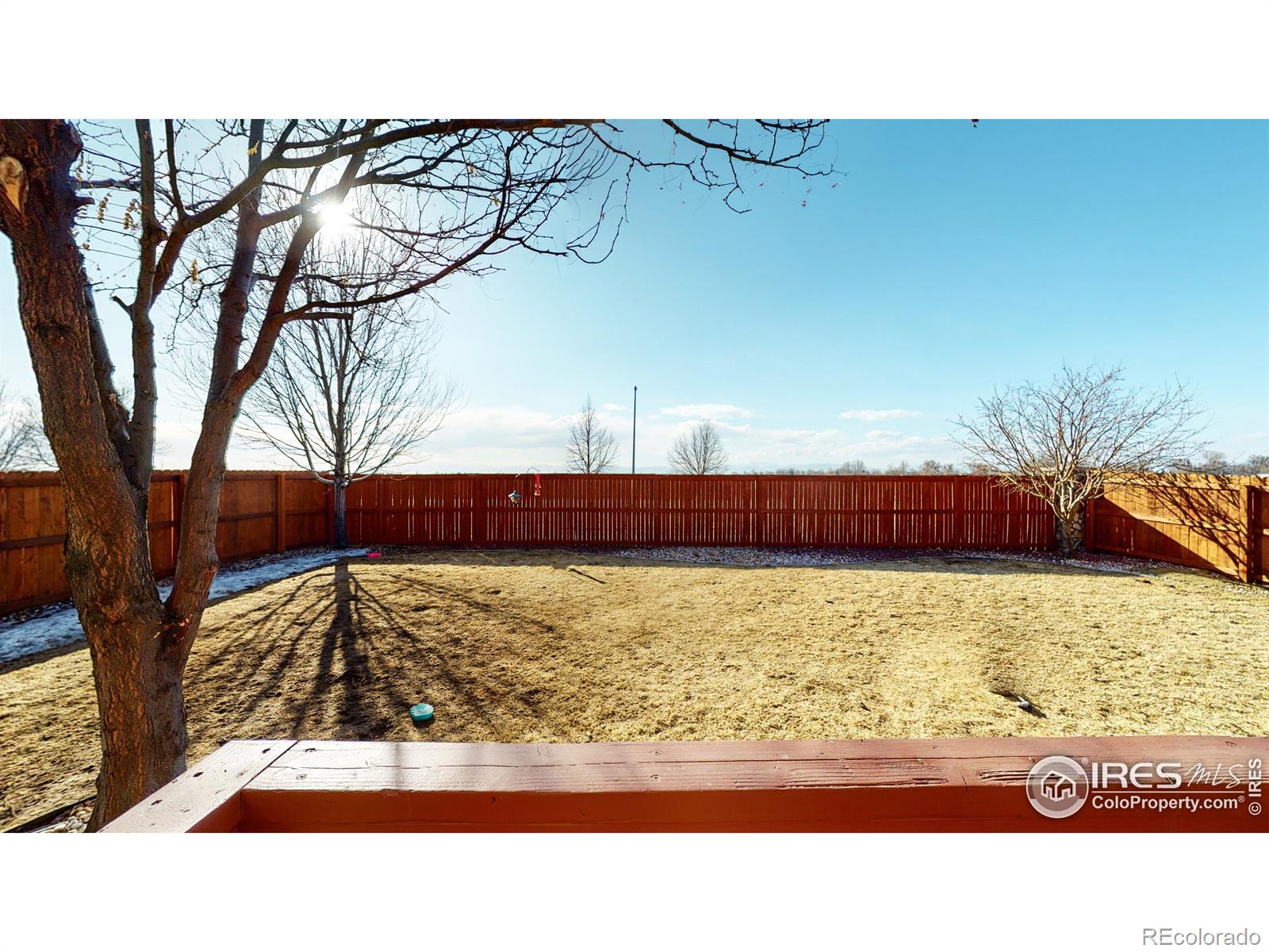 MLS Image #33 for 691  wagon train drive,milliken, Colorado