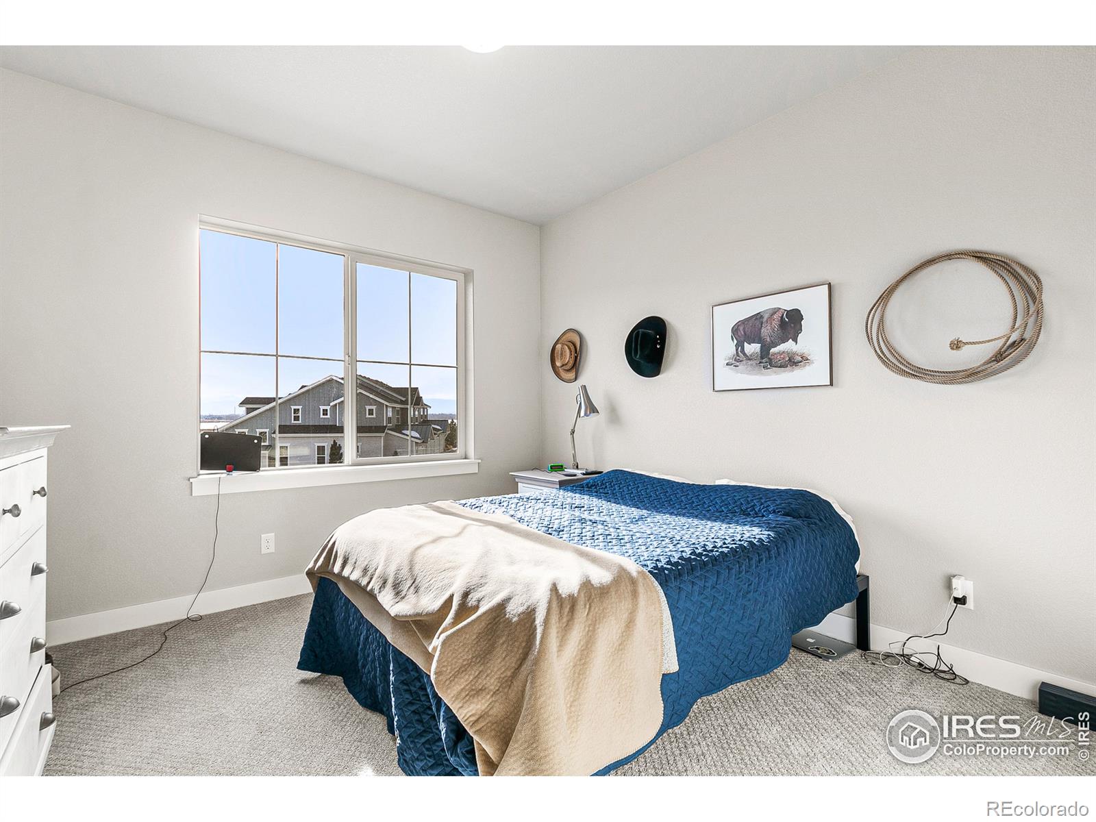 MLS Image #20 for 2486  trio falls drive,loveland, Colorado