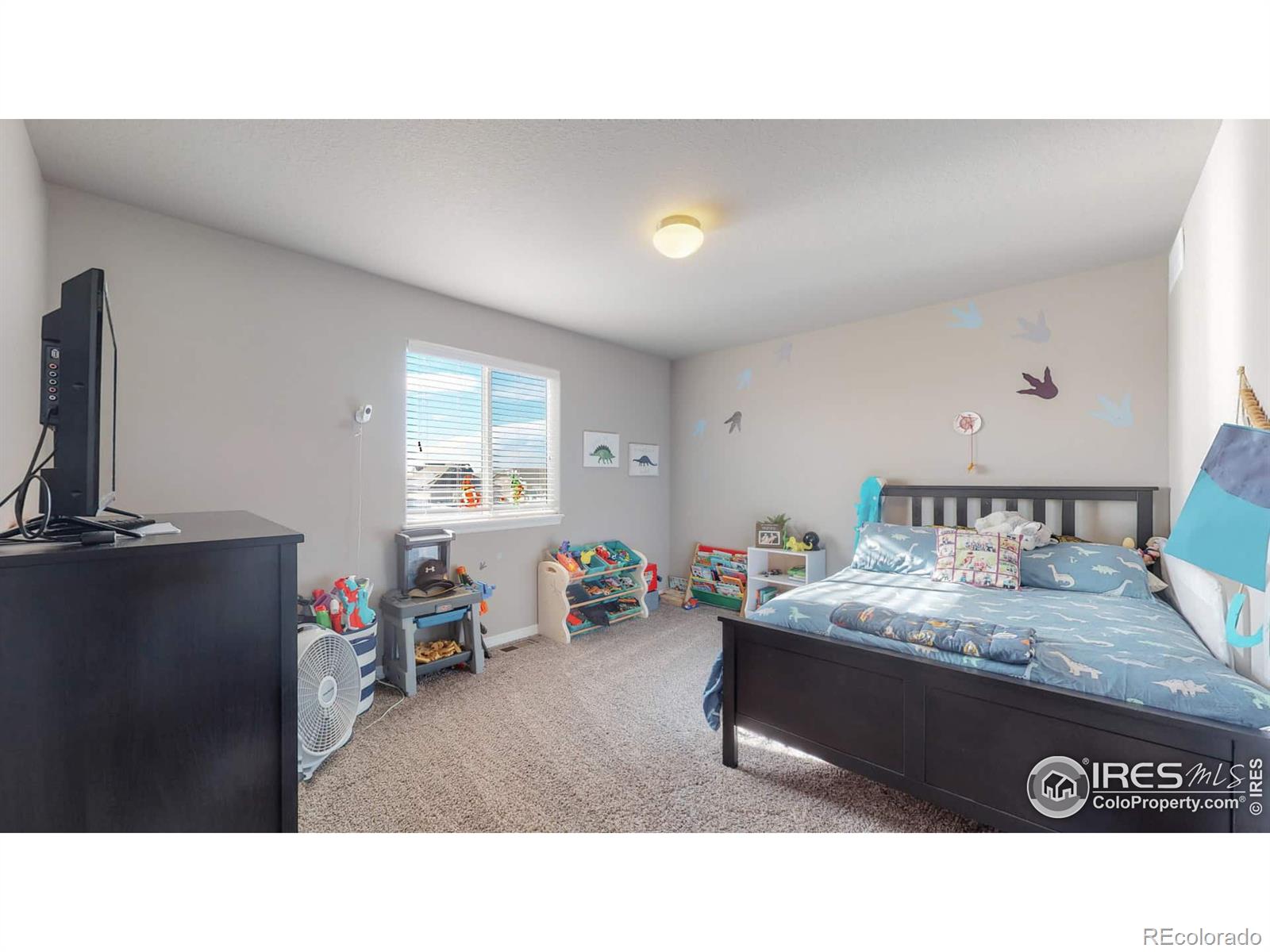 MLS Image #20 for 1869  castle hill drive,windsor, Colorado