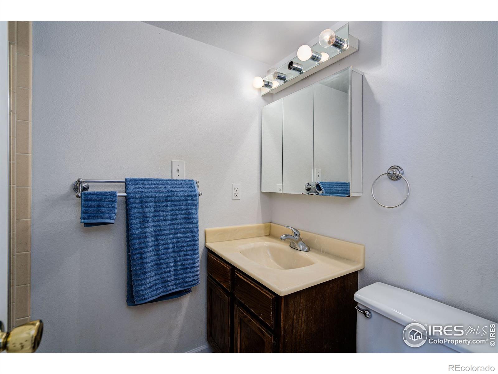 MLS Image #23 for 301  sundance circle,fort collins, Colorado