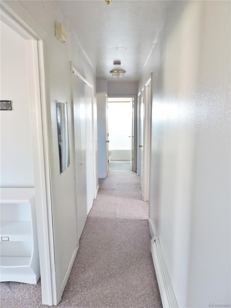 MLS Image #16 for 719  carson avenue,fort garland, Colorado