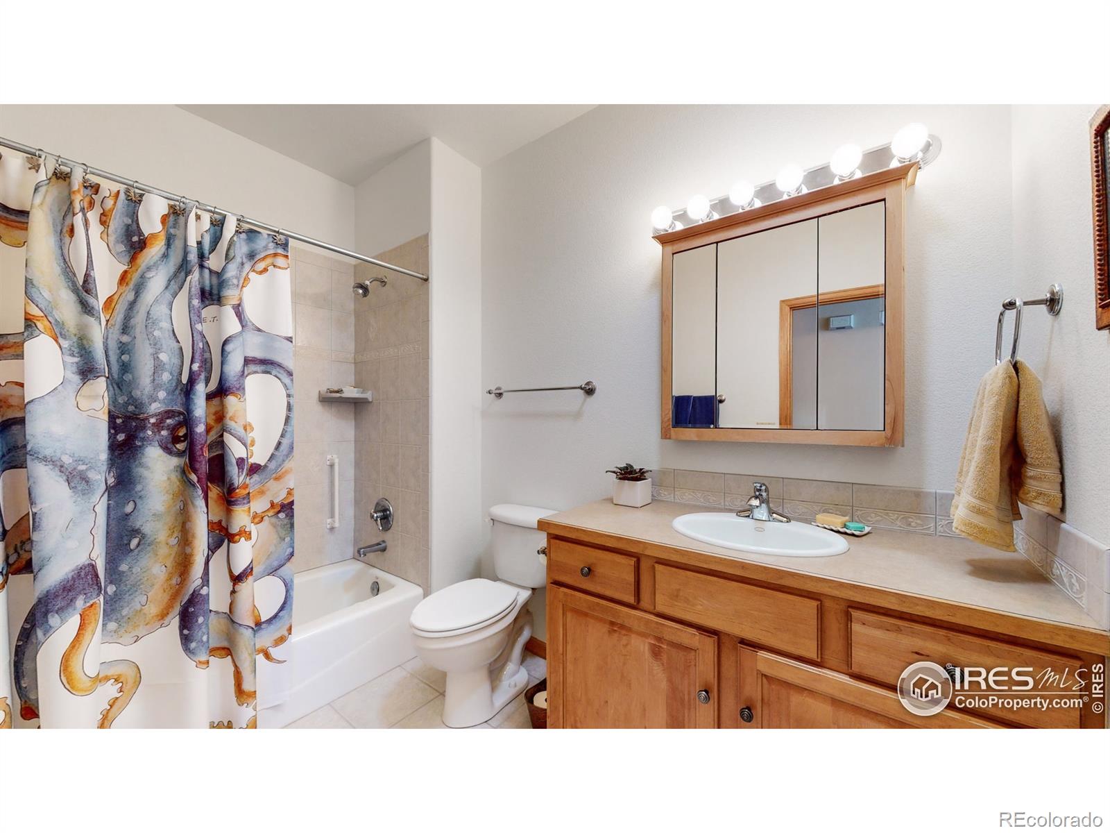 MLS Image #17 for 1421  westfield drive,fort collins, Colorado