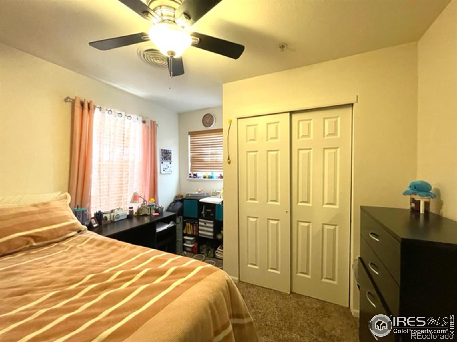 MLS Image #19 for 2226 w elizabeth street,fort collins, Colorado