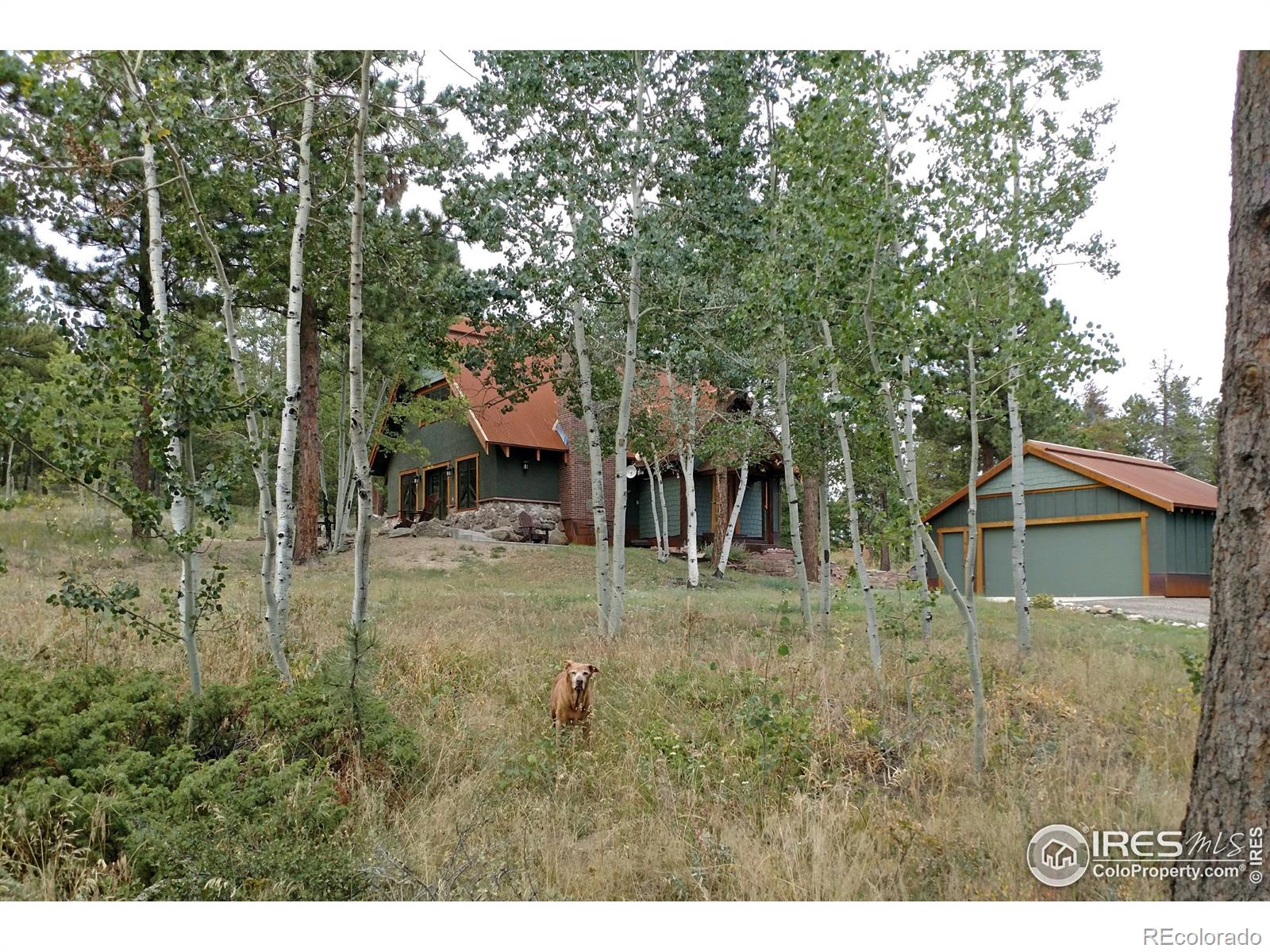 CMA Image for 67  Shady Hollow,Nederland, Colorado
