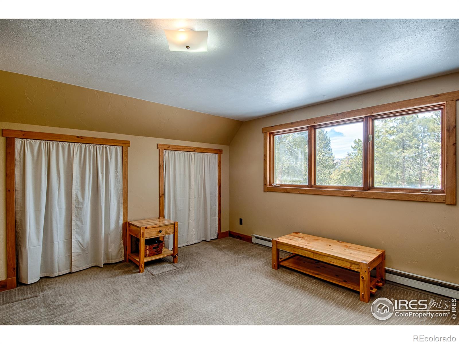 MLS Image #20 for 67  shady hollow,nederland, Colorado