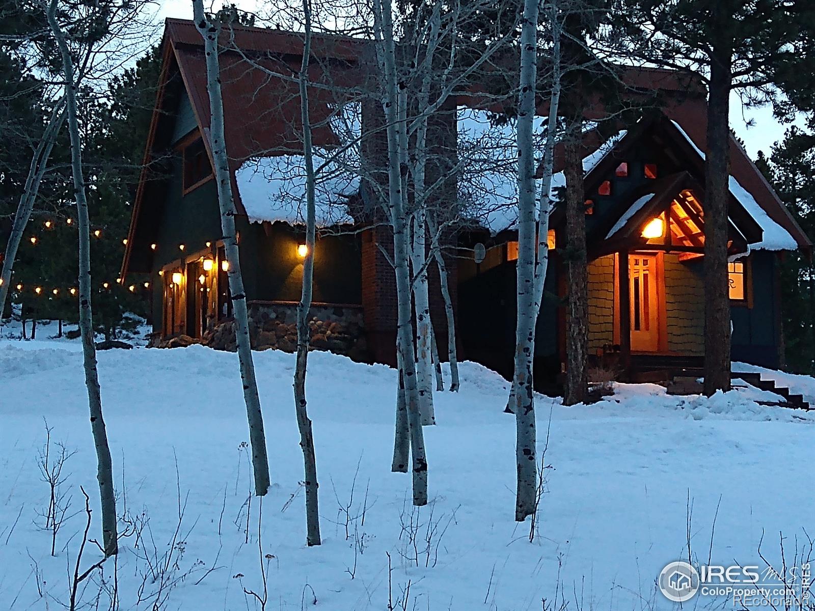 MLS Image #28 for 67  shady hollow,nederland, Colorado
