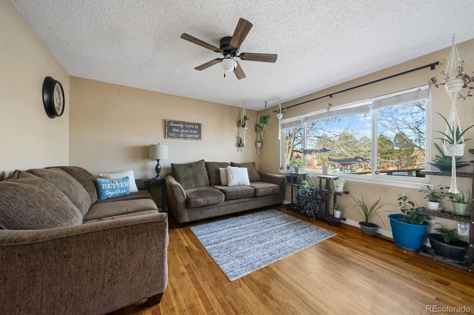 MLS Image #10 for 2606  green ridge drive,colorado springs, Colorado