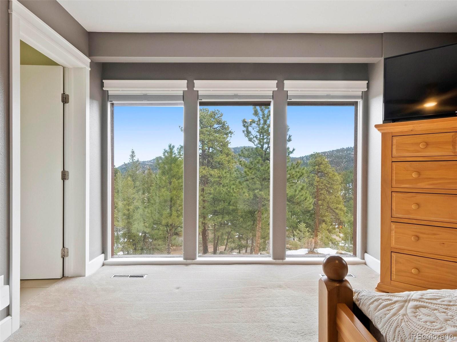 MLS Image #24 for 6056  oberstrasse road,evergreen, Colorado