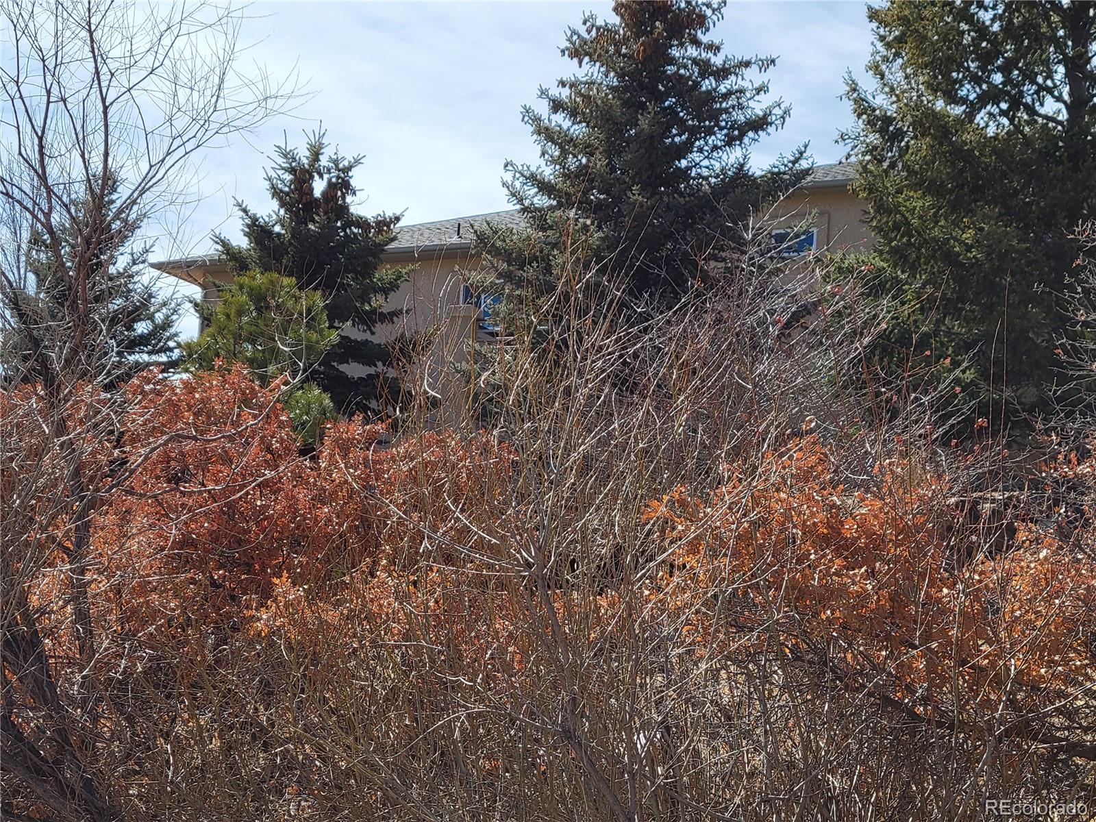 MLS Image #31 for 111  boundary street,palmer lake, Colorado