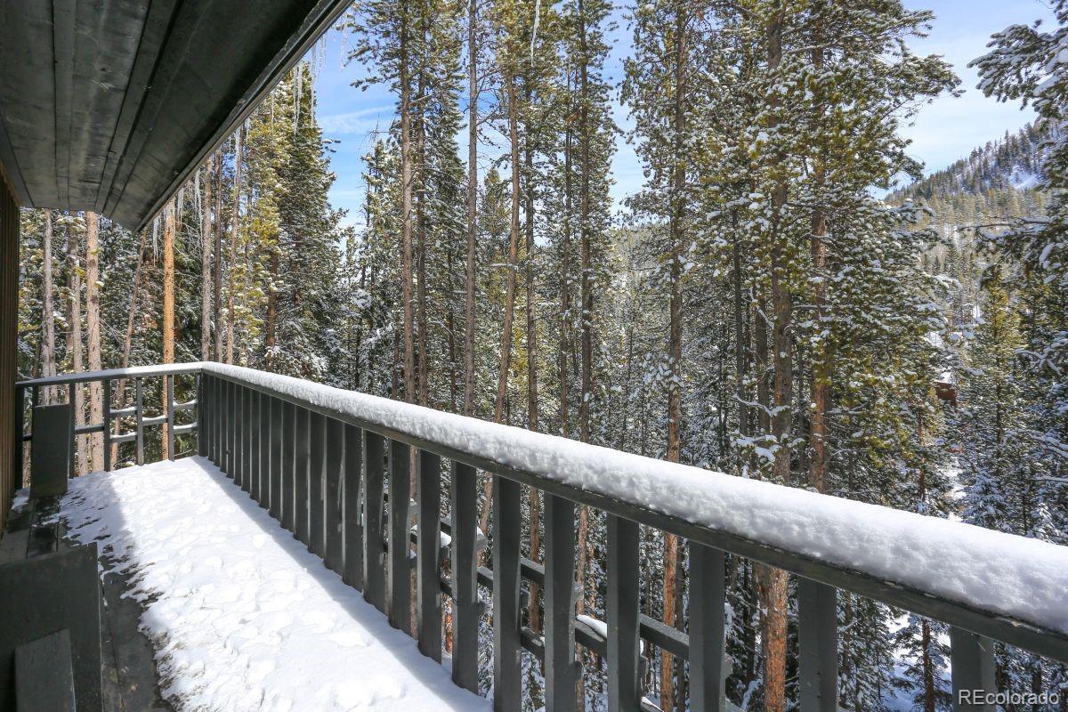 MLS Image #20 for 227  lakeshore loop,breckenridge, Colorado