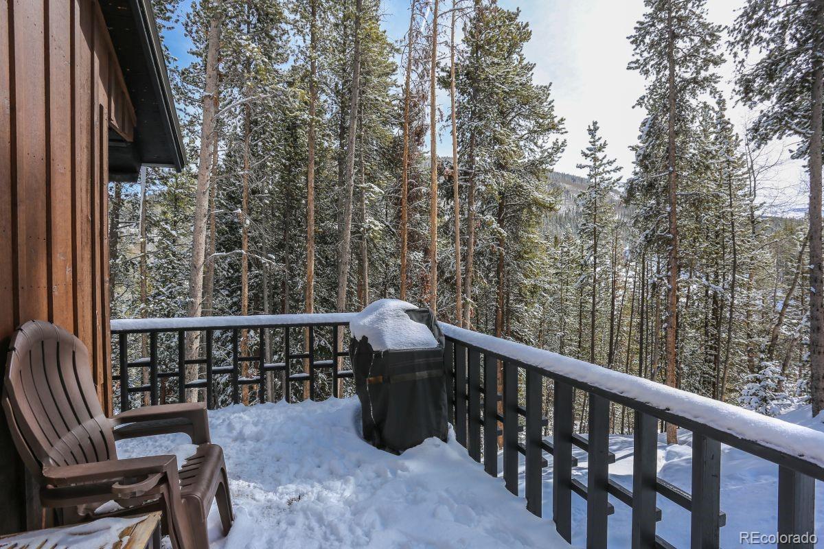 MLS Image #21 for 227  lakeshore loop,breckenridge, Colorado