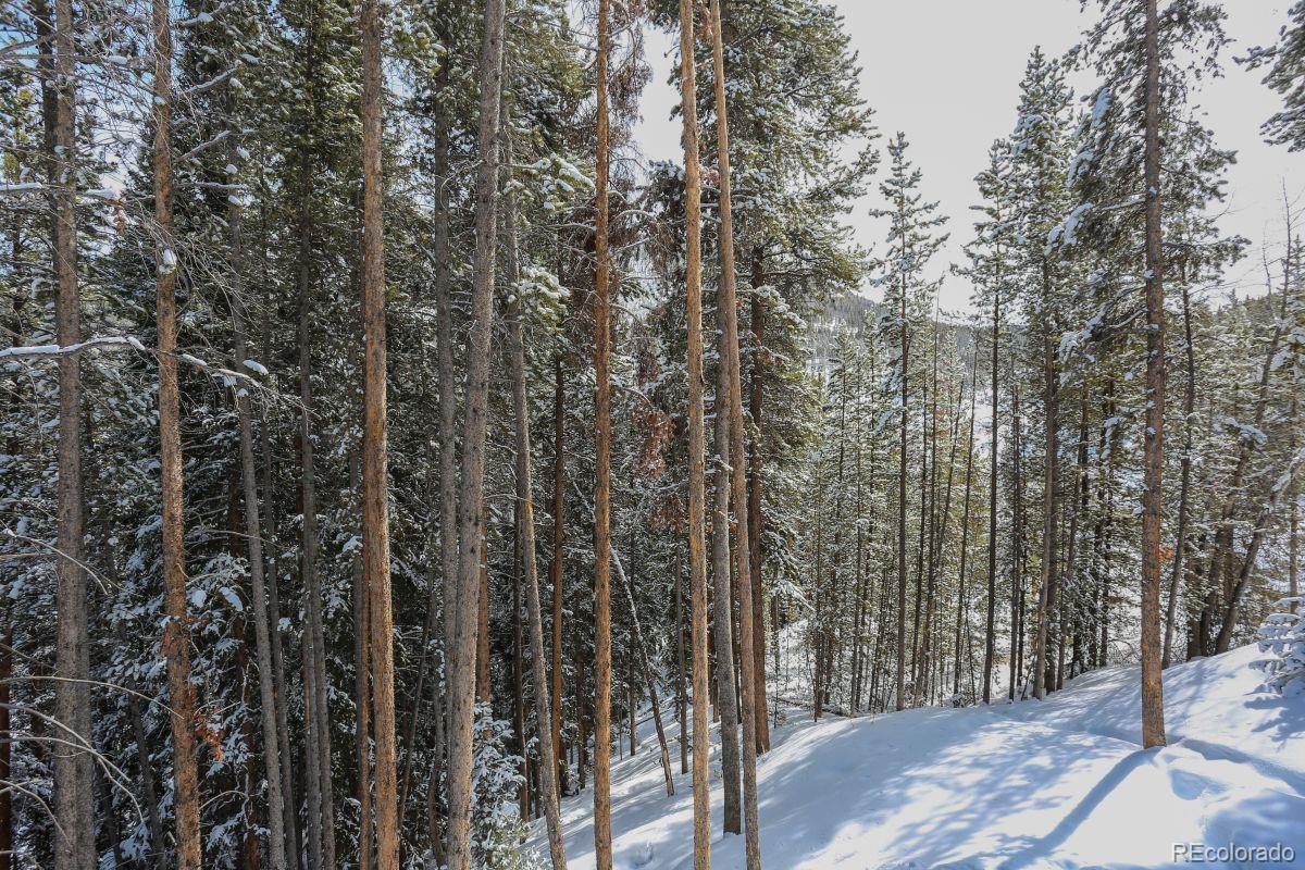 MLS Image #22 for 227  lakeshore loop,breckenridge, Colorado