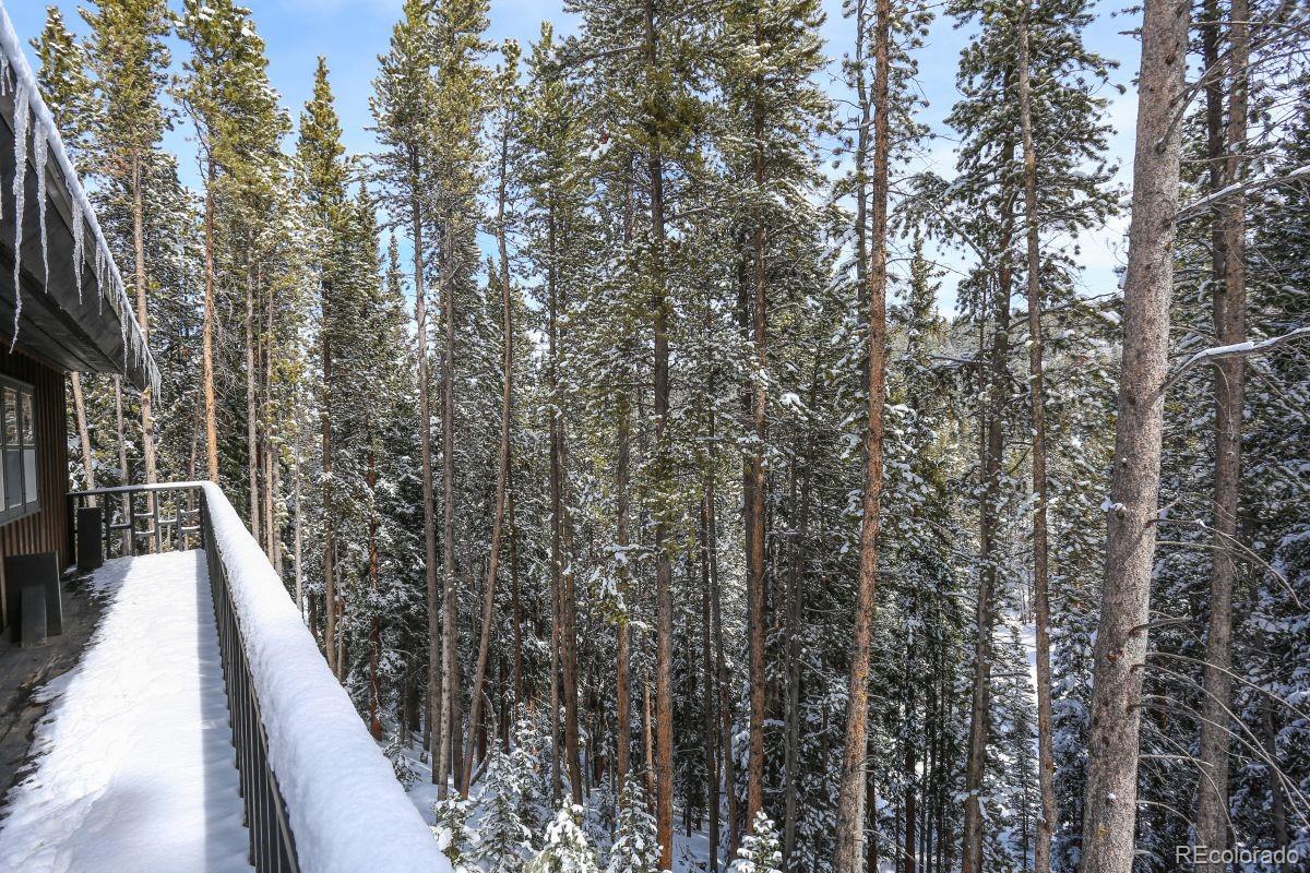 MLS Image #23 for 227  lakeshore loop,breckenridge, Colorado