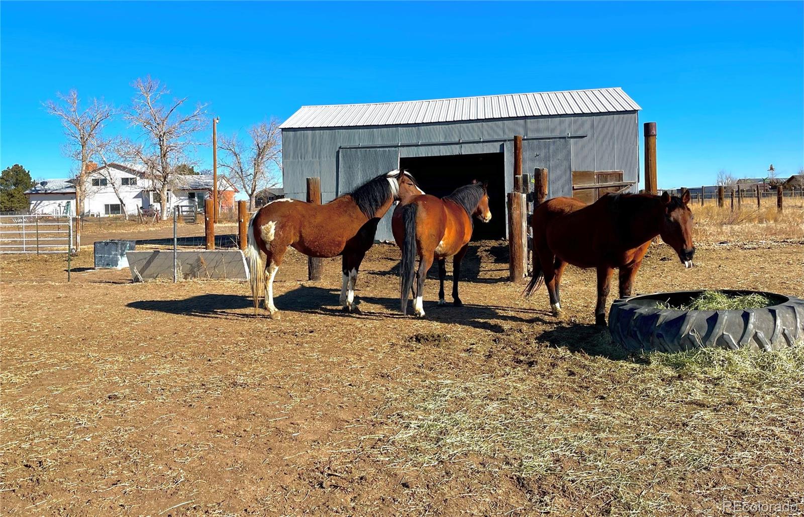MLS Image #1 for 29966 e 131st avenue,commerce city, Colorado