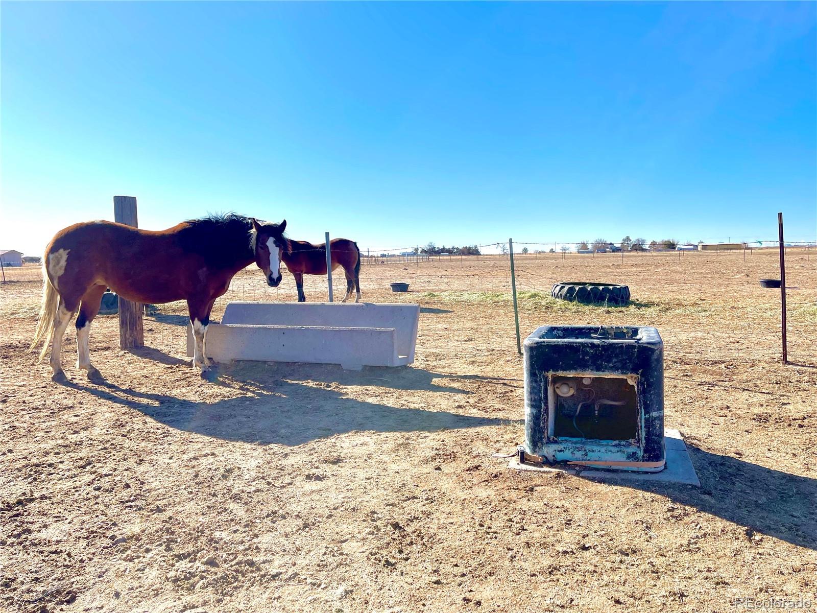 MLS Image #2 for 29966 e 131st avenue,commerce city, Colorado