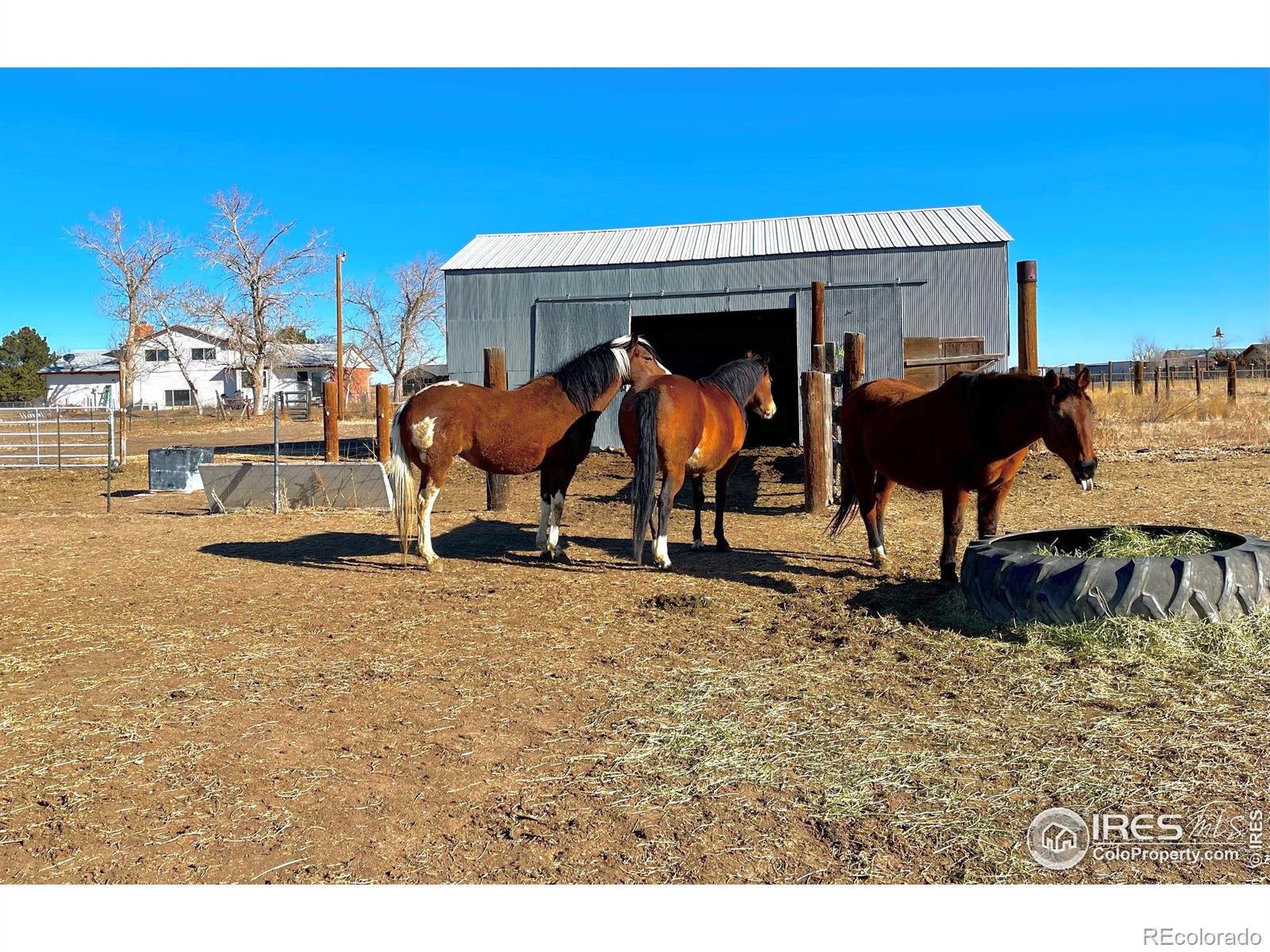 MLS Image #1 for 29966 e 131st avenue,commerce city, Colorado