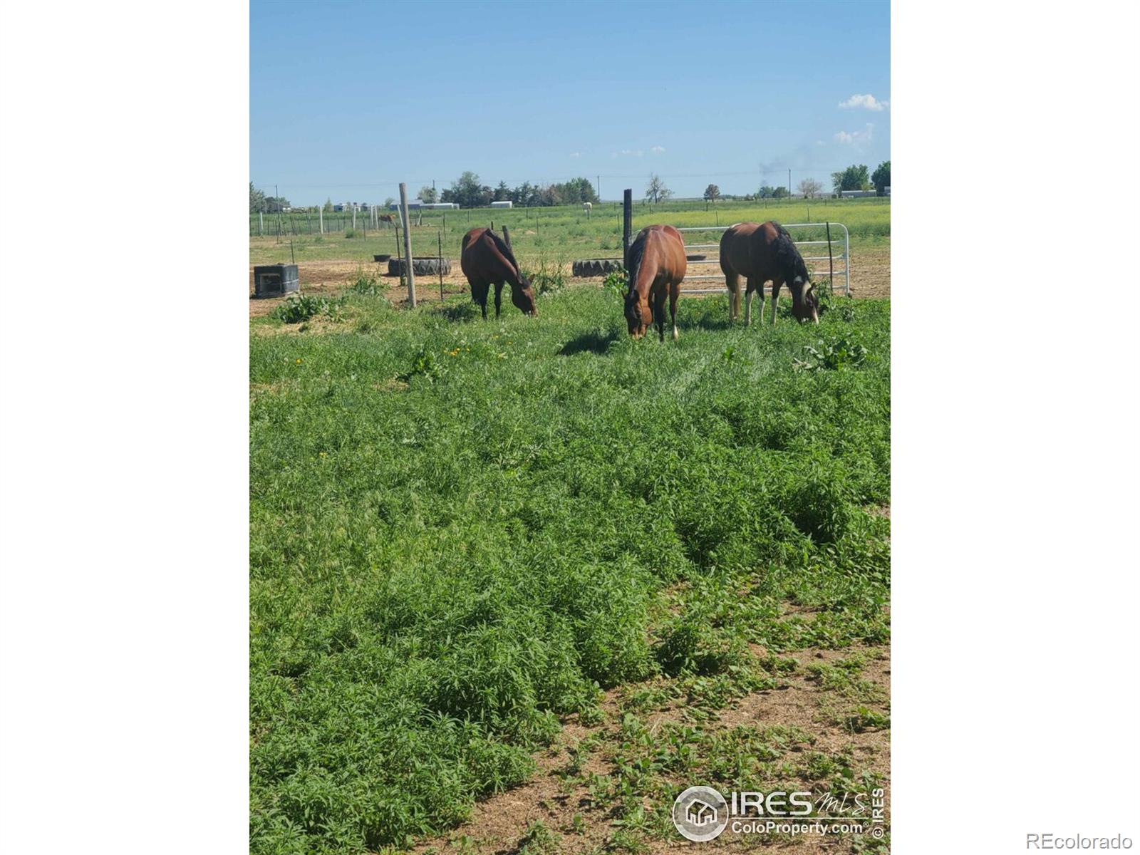 MLS Image #11 for 29966 e 131st avenue,commerce city, Colorado