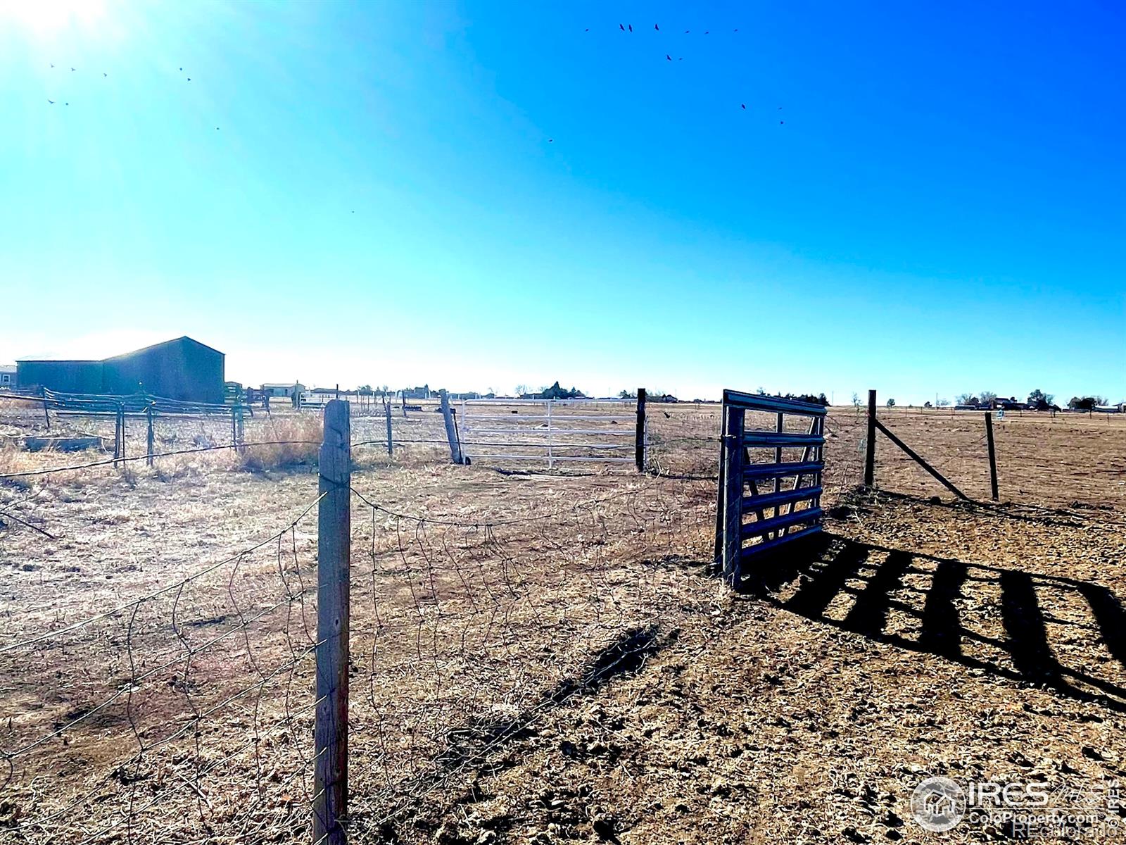 MLS Image #7 for 29966 e 131st avenue,commerce city, Colorado