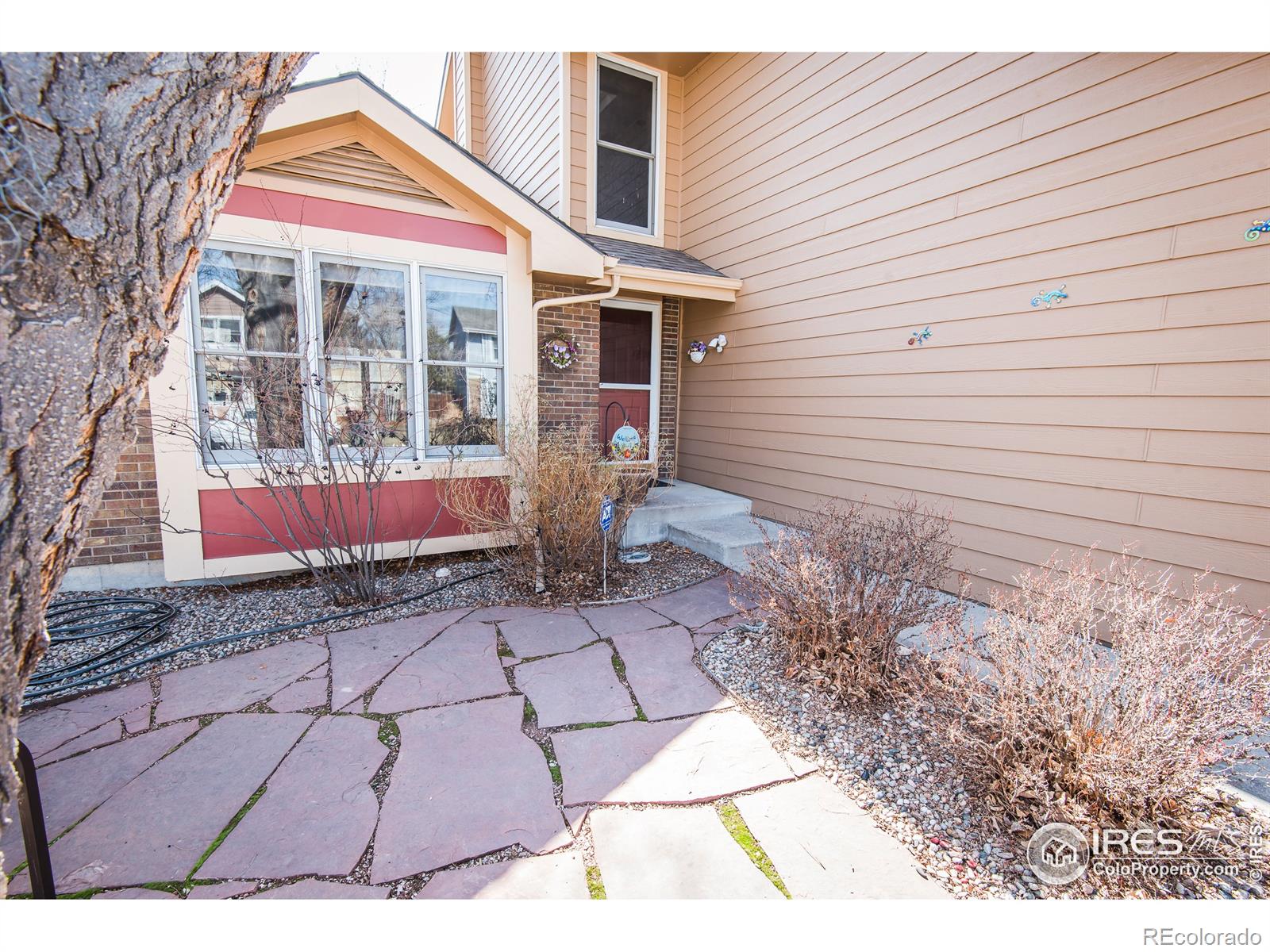 MLS Image #3 for 1621  alcott street,fort collins, Colorado