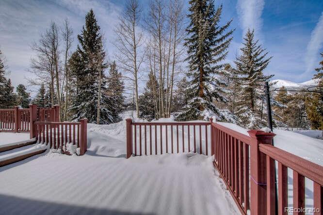 MLS Image #11 for 220 n gold flake terrace,breckenridge, Colorado