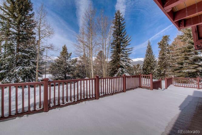 MLS Image #12 for 220 n gold flake terrace,breckenridge, Colorado